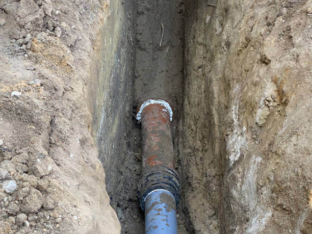 Best Flood restoration services  in Grandview Plaza, KS