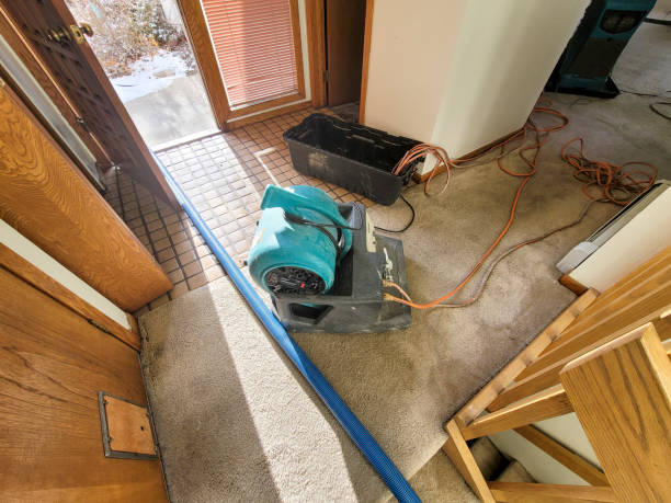 Best Water damage restoration services  in Grandview Plaza, KS