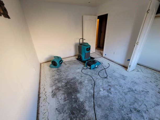 Best Ceiling water damage repair  in Grandview Plaza, KS
