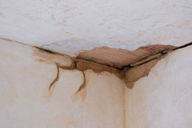 Best Mold removal after water damage  in Grandview Plaza, KS