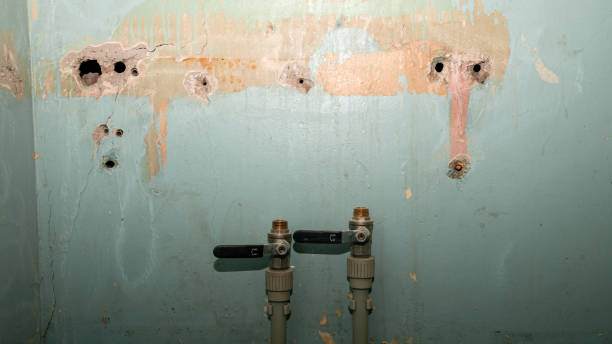 Best 24/7 water damage repair  in Grandview Plaza, KS
